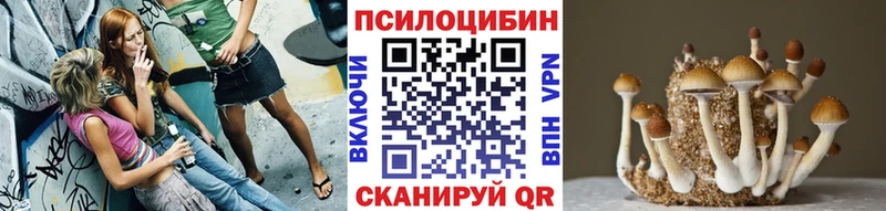 Псилоцибиновые грибы Magic Shrooms  Волгоград 